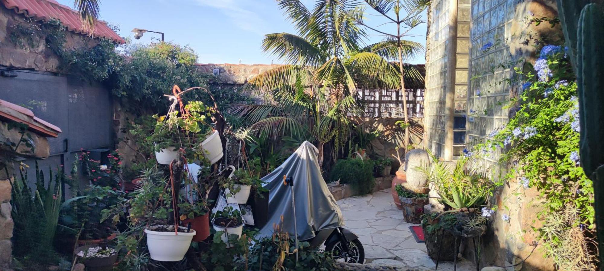 Casa El Drago-Tafira Baja Διαμέρισμα Λας Πάλμας ντε Γκραν Κανάρια Εξωτερικό φωτογραφία
