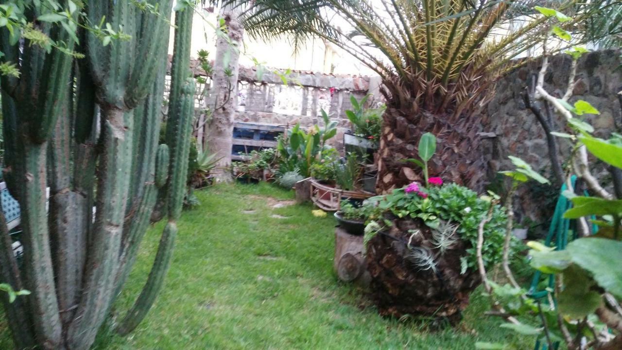 Casa El Drago-Tafira Baja Διαμέρισμα Λας Πάλμας ντε Γκραν Κανάρια Εξωτερικό φωτογραφία