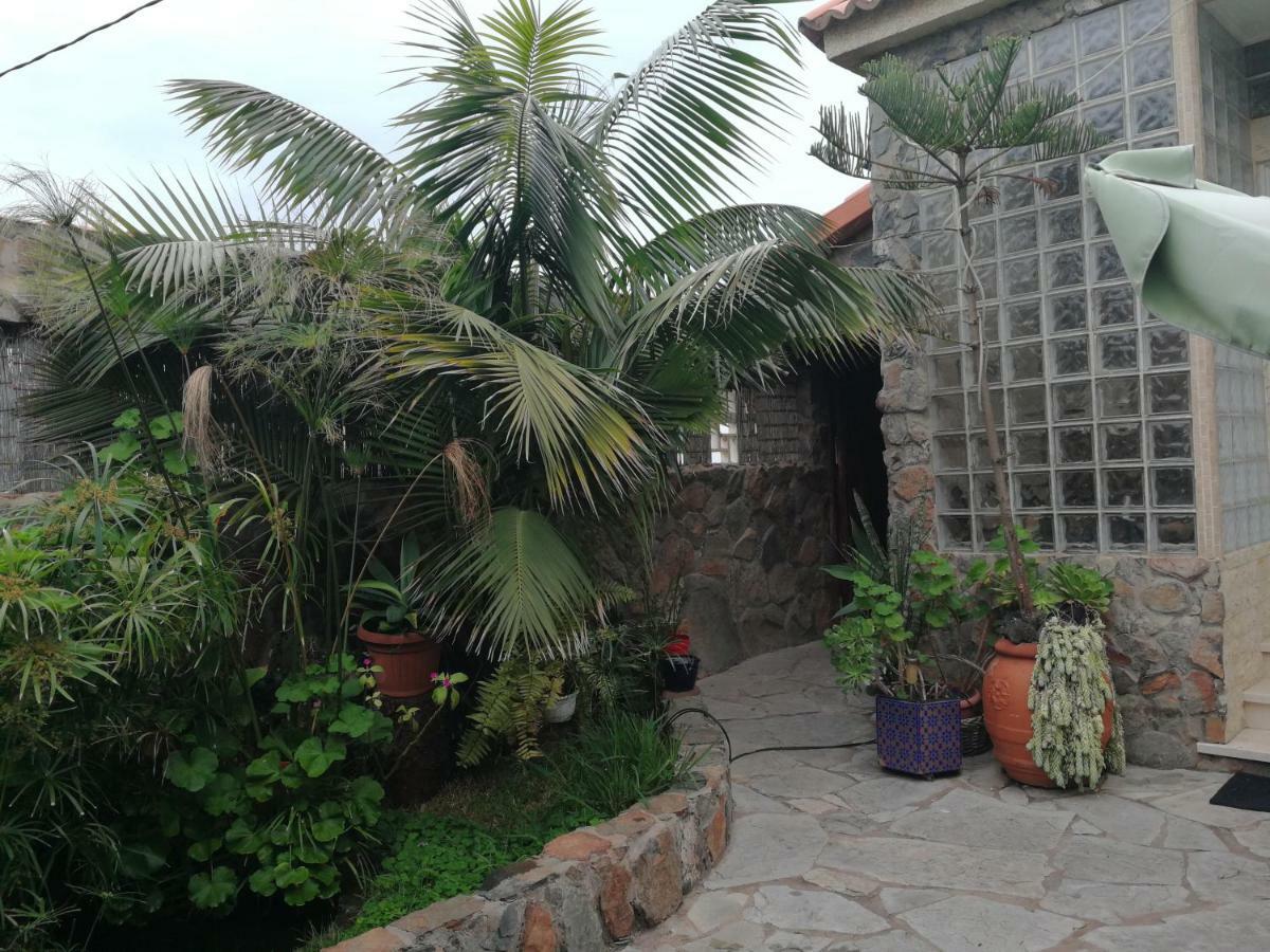 Casa El Drago-Tafira Baja Διαμέρισμα Λας Πάλμας ντε Γκραν Κανάρια Εξωτερικό φωτογραφία