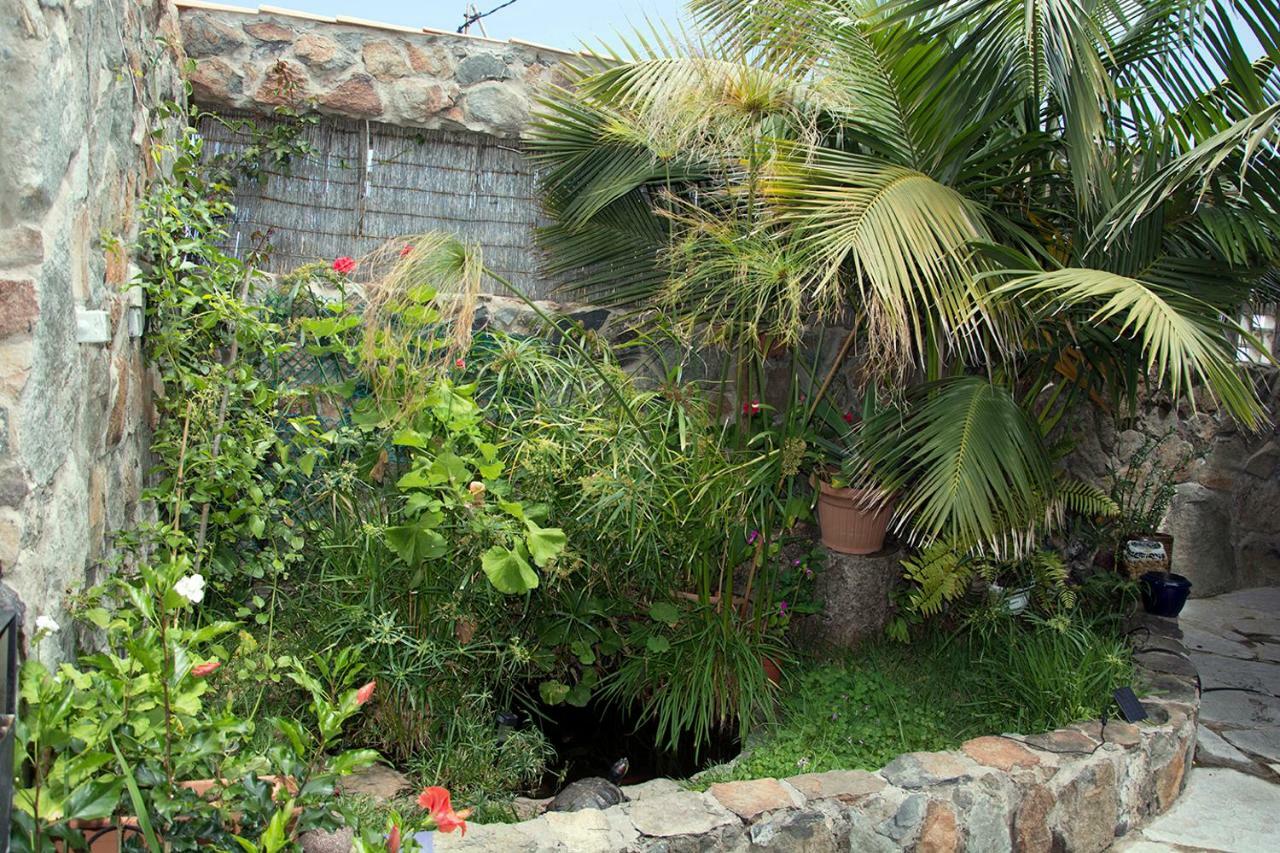 Casa El Drago-Tafira Baja Διαμέρισμα Λας Πάλμας ντε Γκραν Κανάρια Εξωτερικό φωτογραφία