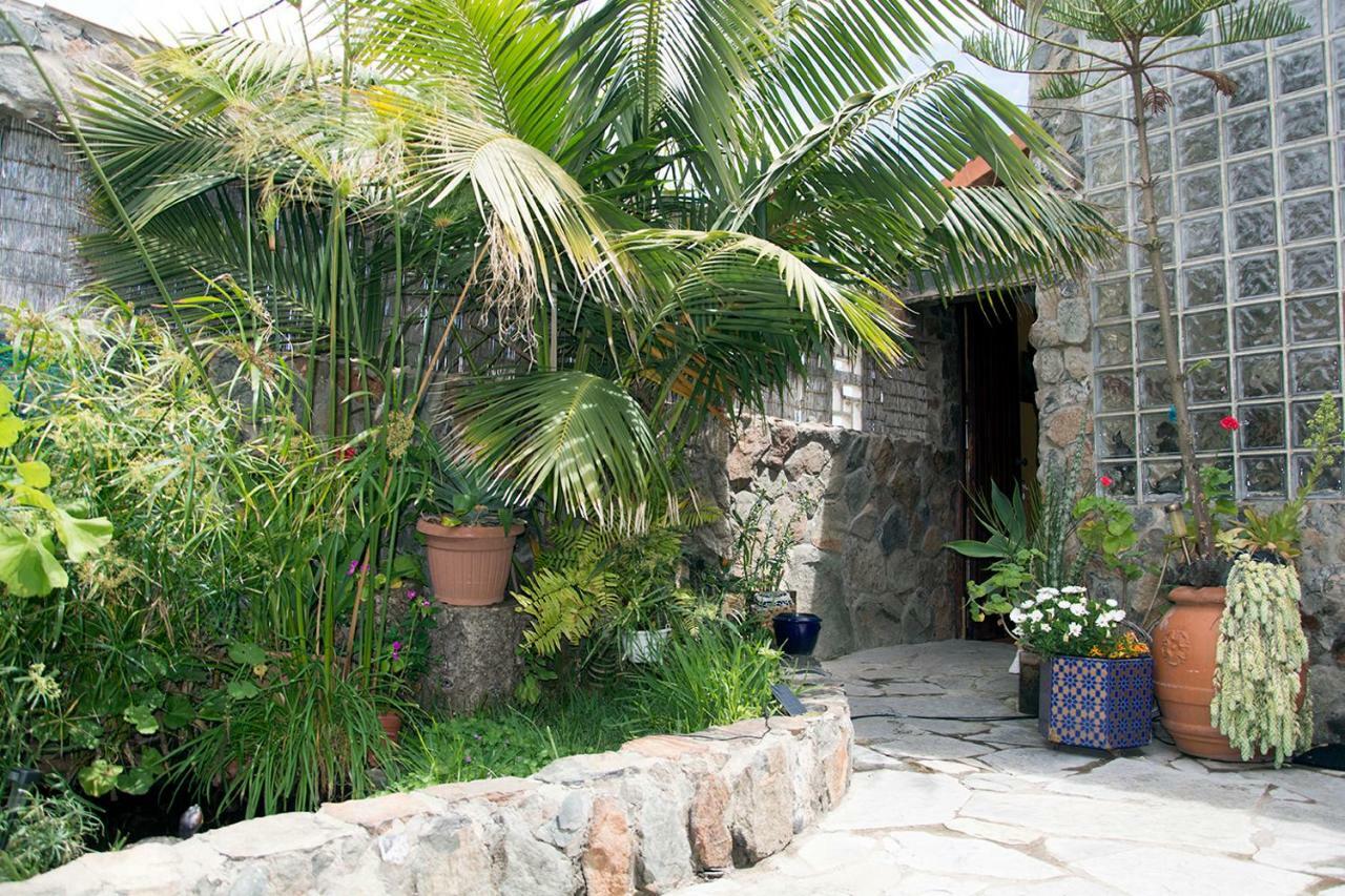 Casa El Drago-Tafira Baja Διαμέρισμα Λας Πάλμας ντε Γκραν Κανάρια Εξωτερικό φωτογραφία